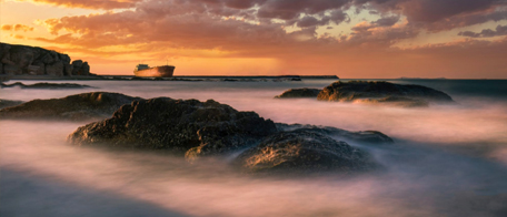 肉質(zhì)鮮美的一種海產(chǎn)品，名字十分有特色